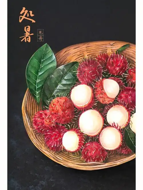 94处暑推荐一下红毛丹,它是中国所产的三种韶子属之一,另两种是韶子