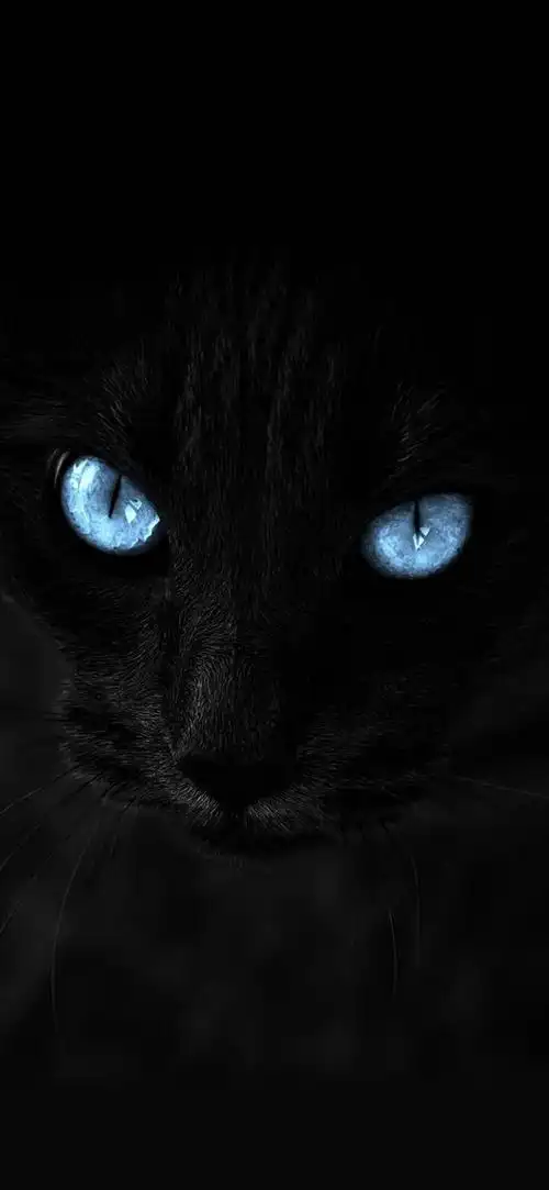 1080_2340竖版 竖屏