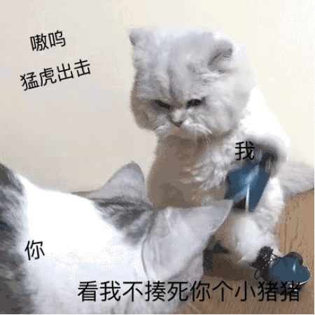 可爱沙雕表情包我累了再也不舔了