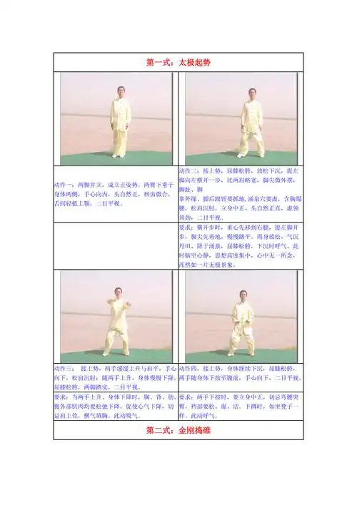 陈式太极拳精要十八式图解