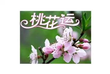 女子桃花运什么意思(单身女人要走桃花运的预兆)