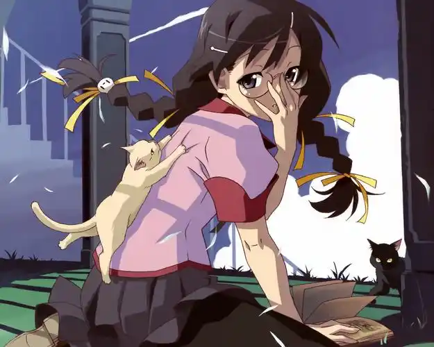 物语系列羽川翼