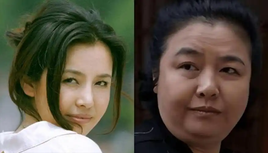 现在嫌她们丑,当年追成狗,这些发福的女明星,年轻时美到窒息!