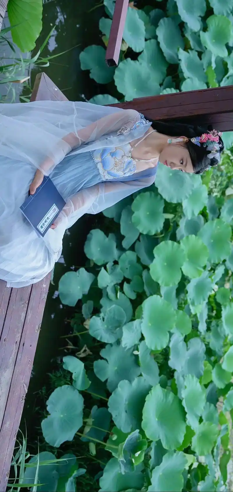 索尼a7m4户外荷花古装半直出