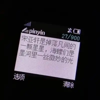 林洛洛宋亚轩文案头像