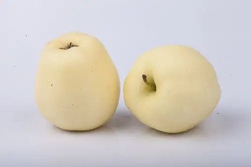 实物图摄影图水果雪梨1