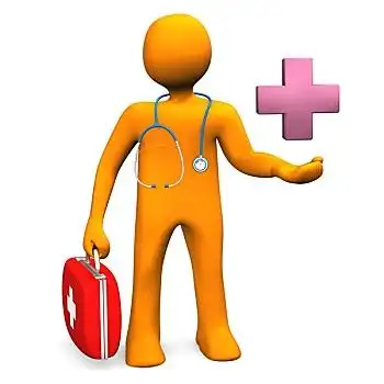 健康体检插画漫画艺术家暹罗猫女医生,健康,卡通,概念医生健康,医学