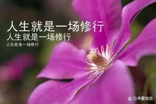 人活着的过程,就是修行的过程,关键是修心,修性,修行.