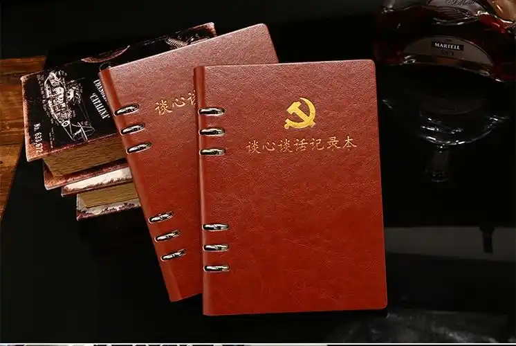 fgacct fgacct 新版单位公司干部专员活页谈心谈话会议记录本党员学习