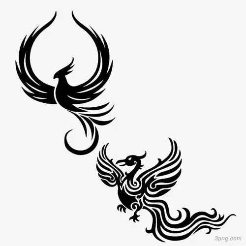 两只飞翔的凤凰png素材透明免抠图片动植人物