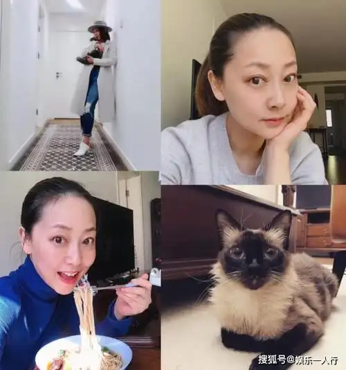 晒晒张卫健住的千万豪宅,跟老婆一直过二人世界,家里没有儿童房_张茜