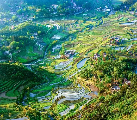 信阳杯中国乡村纪事全国摄影展启动