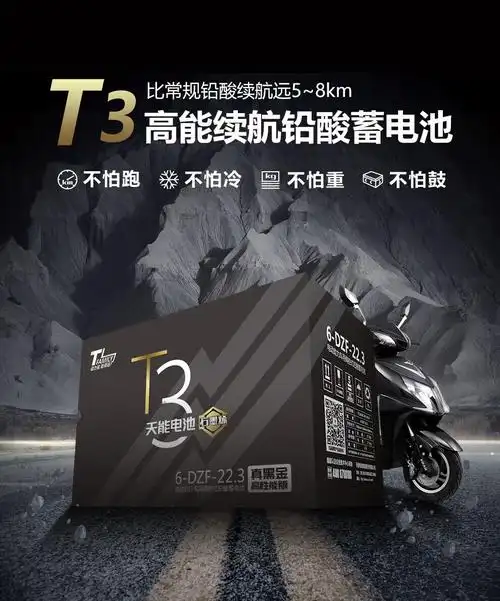 天能真黑金电池电动车电瓶铅酸免维护胶体蓄电池雅迪爱玛适用 48v13.