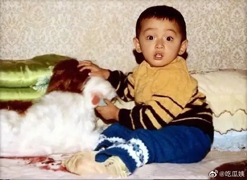 胡歌小时候好可爱,肉嘟嘟的小胖子姐姐捏脸一把