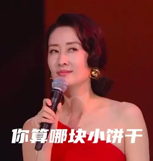 你算哪块小饼干刘敏涛表情包刘敏涛表情包刘敏涛表情