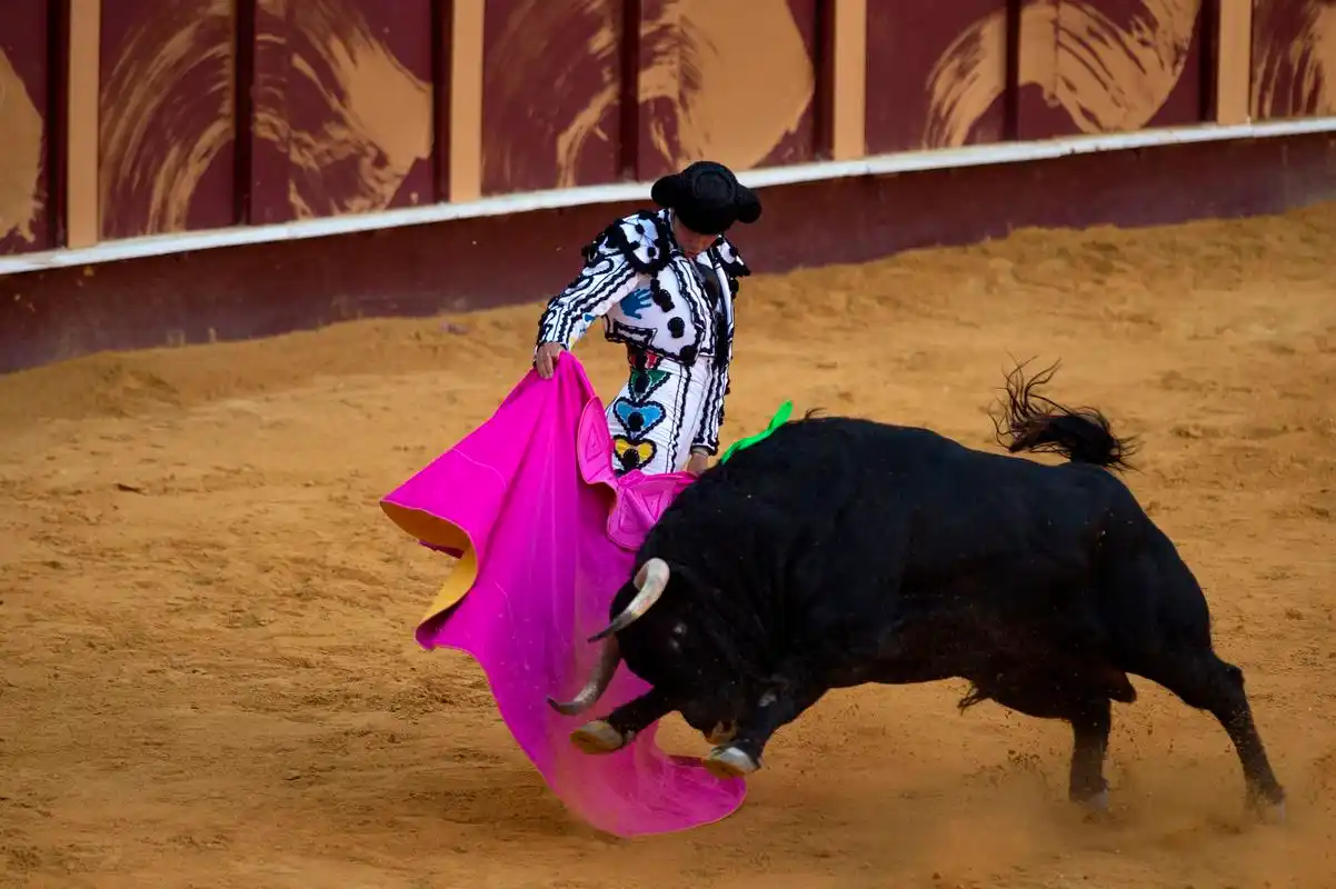 西班牙斗牛表演(9)