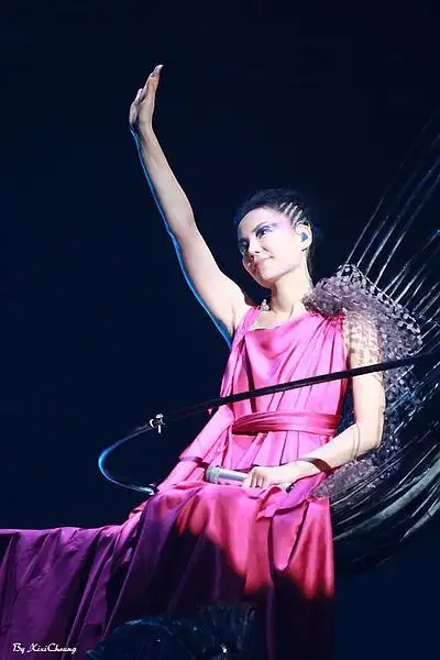 西西的相册-王菲 2010 巡唱