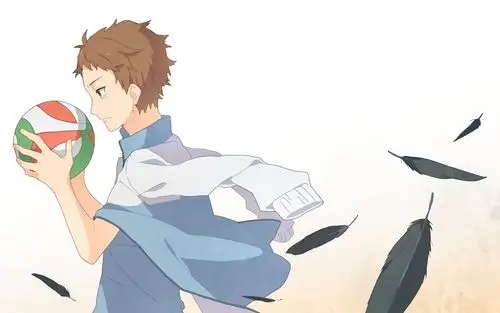 热血飞扬排球少年电脑桌面壁纸下载