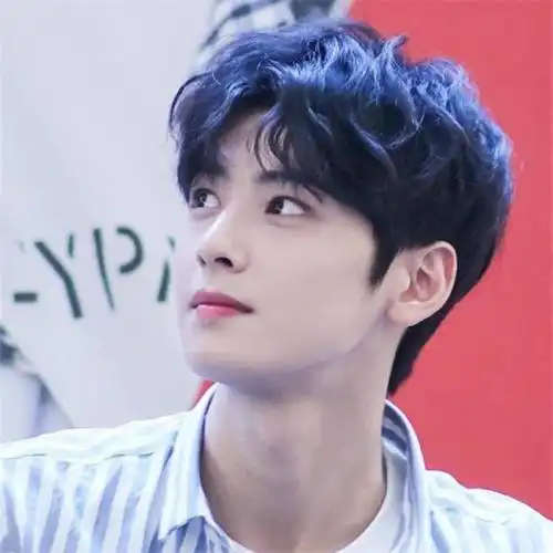 男士烫发发型图片蓬松