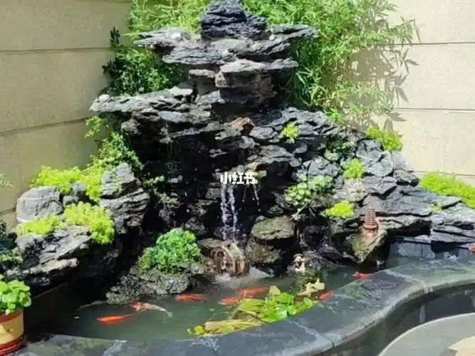 庭院小假山