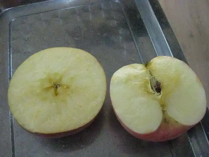 瞧瞧看!横着切和竖着切的苹果有什么不同?