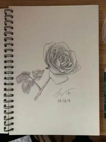 素描画简单好看易画花 素描画简单好看易画 | 多想派