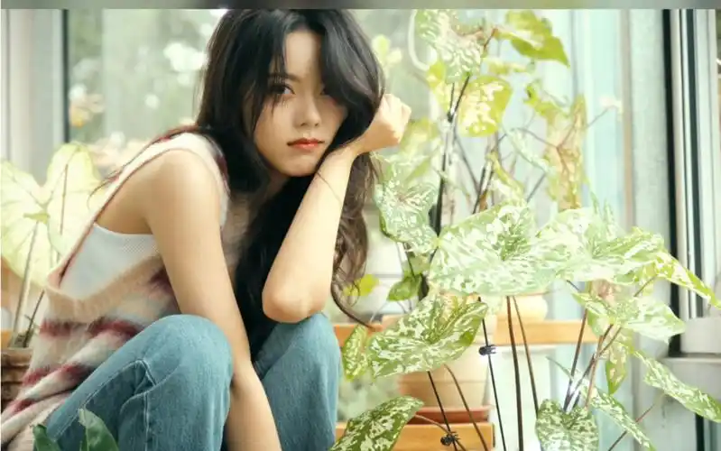 赵今麦花房美图