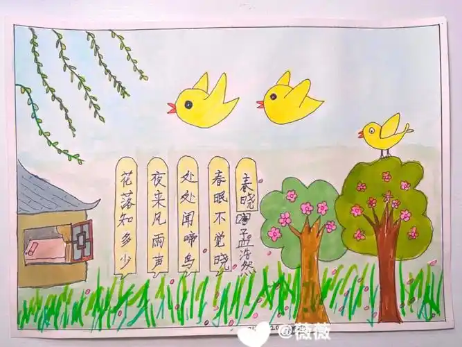 古诗配画春晓彩图线稿