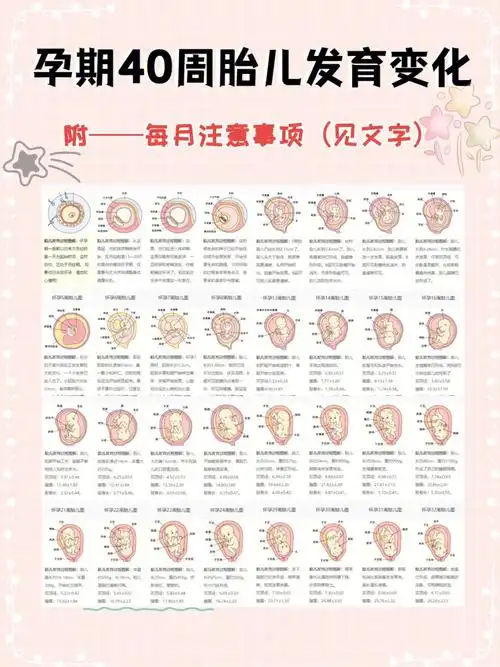 1080_1440竖版 竖屏