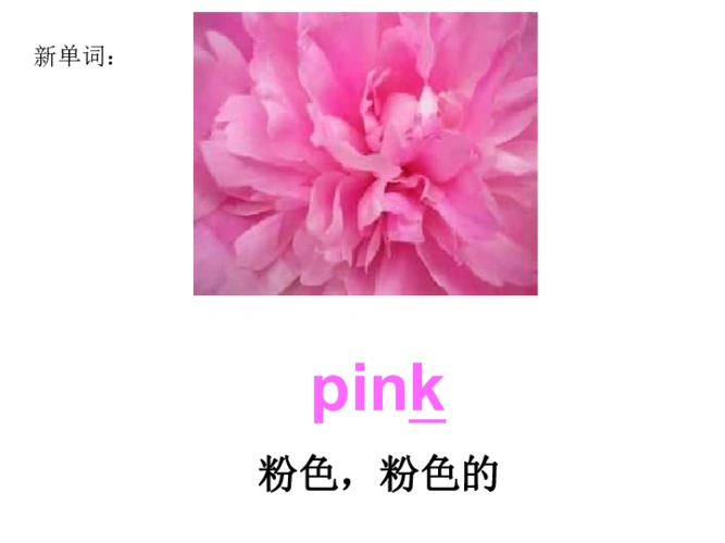 unit2howmanypinkballs课件20张ppt