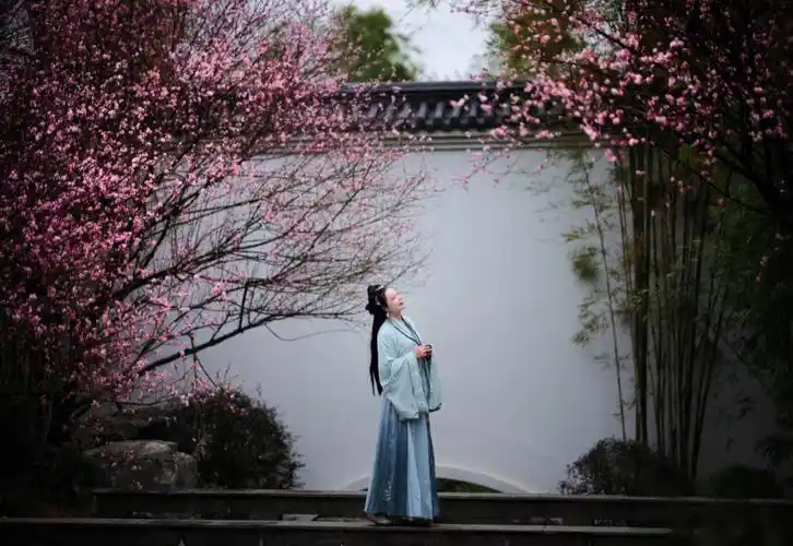 女人如梅花,花之种种,千姿百态,不可胜数.