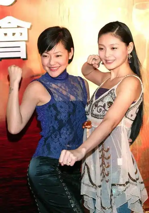 作品被删,粉丝脱粉,蔡依林,林心如仍不表态,背后原因不难猜_内地_市场