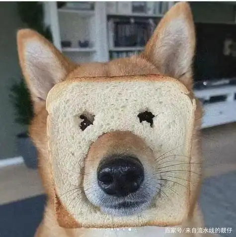 网上搞笑的沙雕图