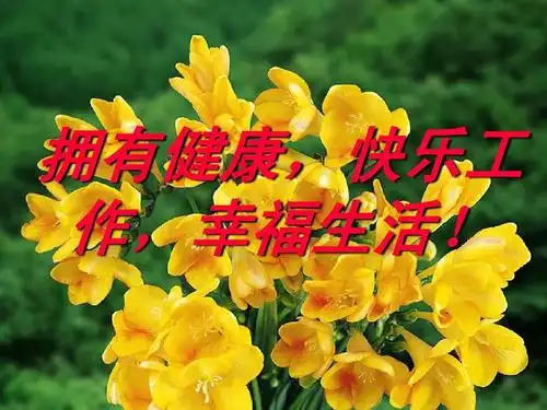 拥有健康,快乐工作,幸福生活ppt