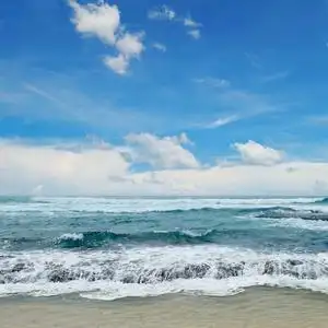 美丽的浪花在大海中照片