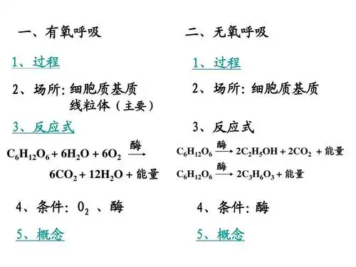 场所: 线粒体(主要) 二,无氧呼吸 1,过程 2,场所: 细胞质基质 3,反应