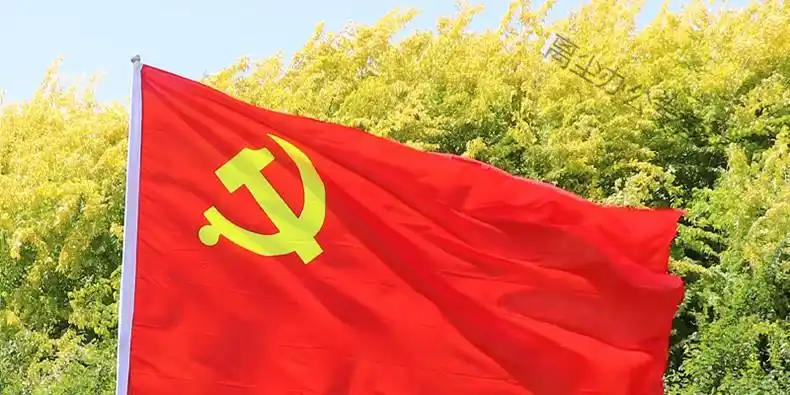 南山驹 党旗手持带旗杆12345号大党旗飘飘定做户外防水装饰旗帜定制