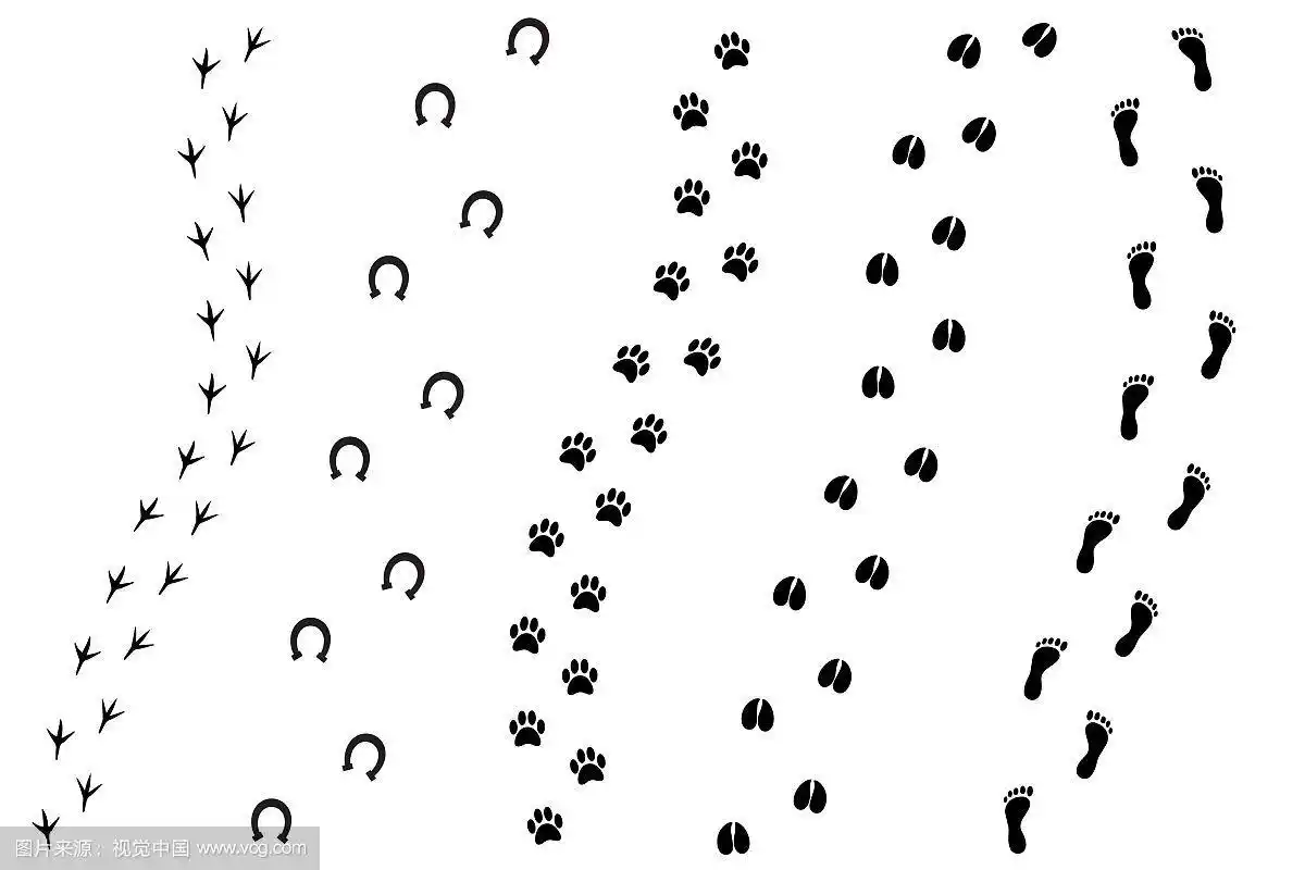 平面卡通设置黑色动物脚印
