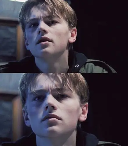 这是小李子哪个电影