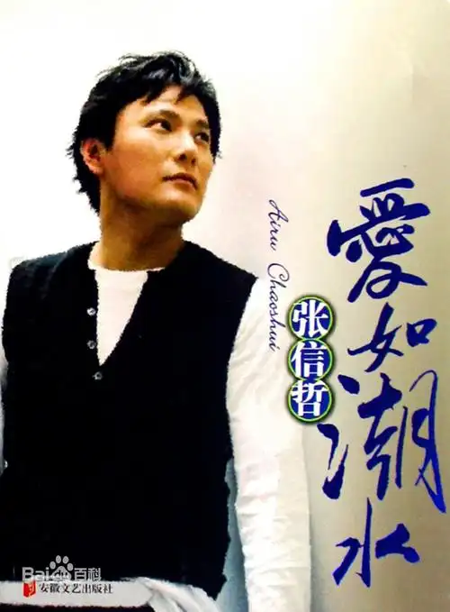 台湾歌手张信哲演唱的一首歌曲,由李宗盛作词,黎沸挥作曲,鲍比达编曲