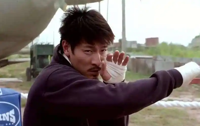 实在是可惜,不知道刘德华先生在这部《阿虎》中,是否依然奉行"我演的