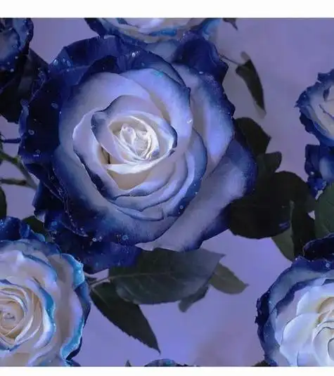 动漫头像男生稀有男神头像真人戴口罩拽拽的女生头像真人复仇女生动漫