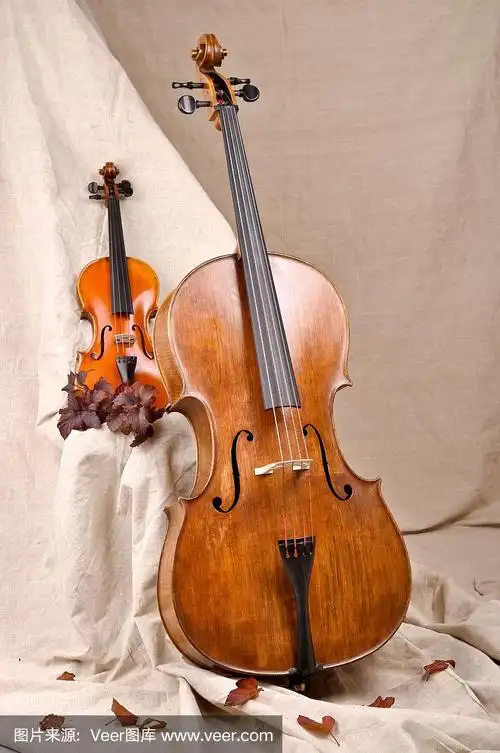 米色背景上是小提琴和大提琴