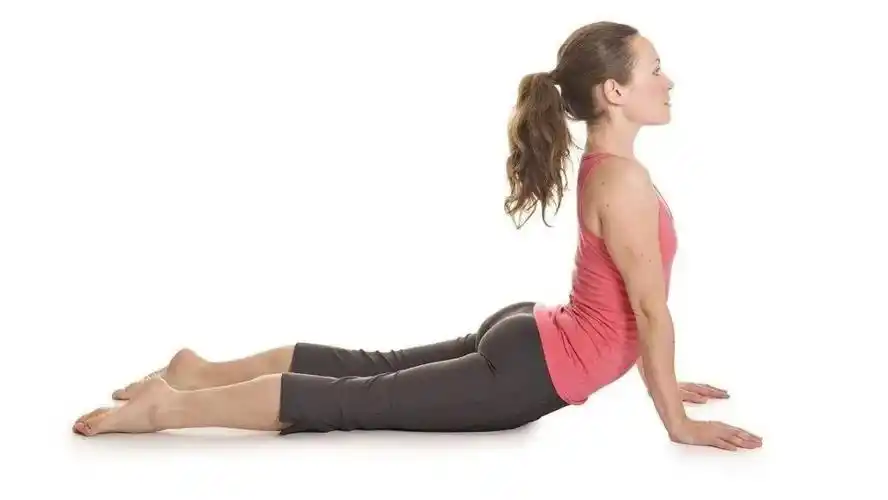 8个转肩提臂动作,成功打造你的纤薄少女背|双腿|背部|双倍_新浪新闻