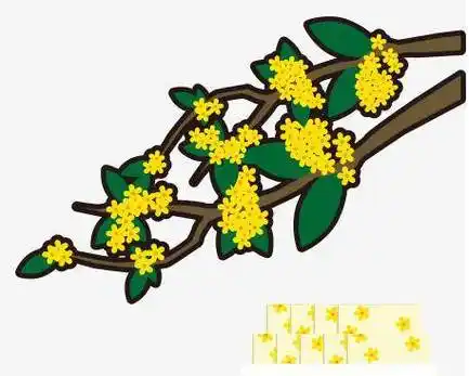 更多桂花 简笔画,桂花简笔画简单又漂亮,桂花简笔画儿童画相关的内容