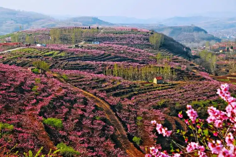 《家乡赞歌》组诗——山水如此多娇,风景这边独好