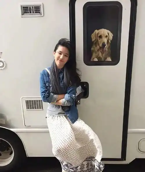 看完刘亦菲的这7张生图终于知道为何都叫她神仙姐姐了