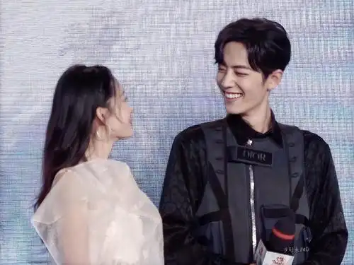 战沁夫妇肖战李沁识于微时望你称王