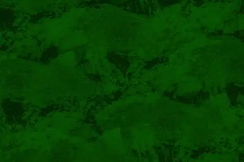 墨绿色背景图片