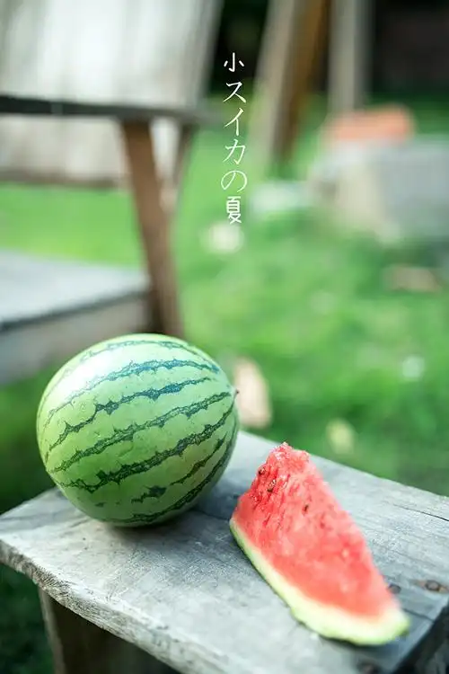 小辫子和小西瓜の夏天